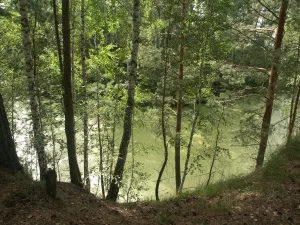 Раздельная река