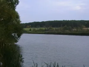 Серебрянка