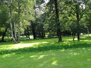 Дача Н.Ю. Трубецкого