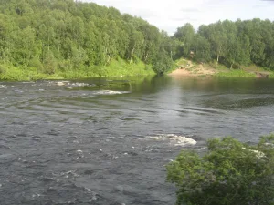 Кола