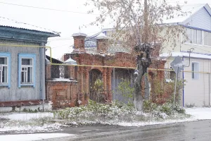 Ворота дома Попова (Шадринск)