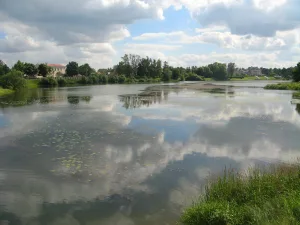 Орловский (Заводской) пруд с водосбросными трубами (Стрельна)
