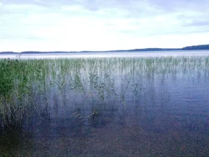 Совдозеро (озеро, Поросозерское сельское поселение, северо-восточное)