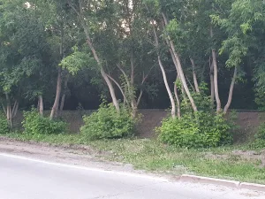 Земляной вал и ров (Тобольск)