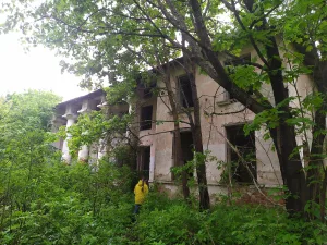 Усадьба (Курово-Покровское)