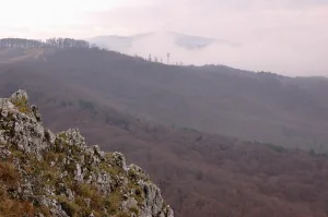 Зейский заповедник