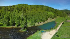 Сарва