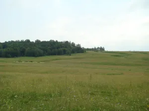 Лучинник