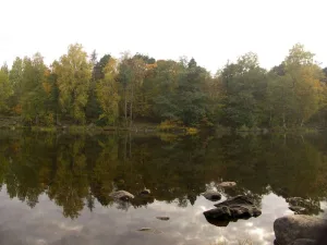 Городской парк (парк отдыха) (Приозерск)