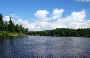 Сым