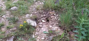 родник из трубы в Берёзовском ущелье