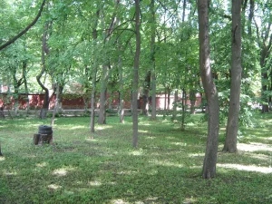 Сад (Кронштадт)