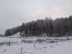 Белая (крепость)