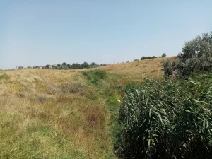 Чурюк-Су