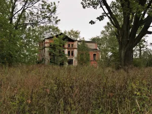 Парк 5 га, аллеи (Лютка)