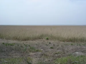 Шапсугское водохранилище