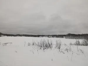 Люговское