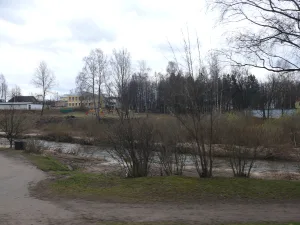 Явонь