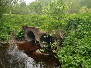 Вороновская дамба