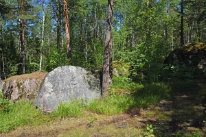 Парк (планировка, композиционные элементы, дендрологический состав) (Выборг)