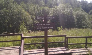 Машкинский ручей