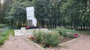 Братская могила советских воинов, погибших в годы Великой Отечественной войны (Шварцевский)