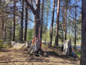 Кладбише в Тикше с культовой рощей