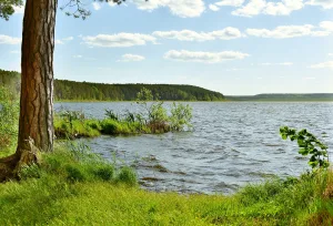 Гурино