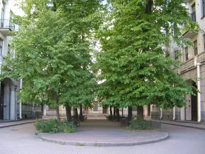 Курдонер