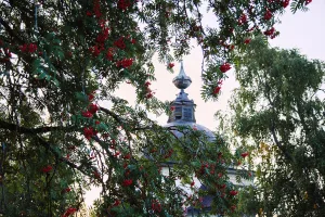 Церковь Александра Ошевенского (Кречетово (Погост))