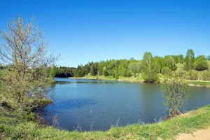Ошеть