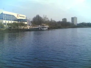 Петрица