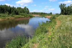 Салмыш