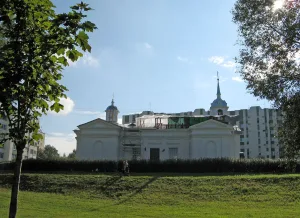 Усадьба Р.И. Воронцова (с территорией)