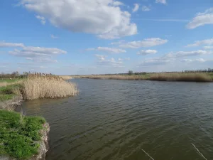 Пелёнкино озеро