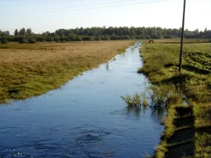 Кира
