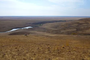 Утя