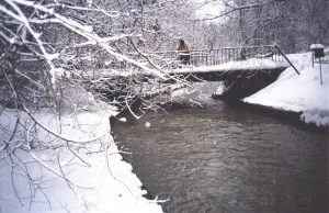 Красненькая