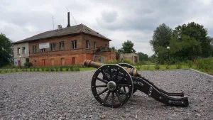 Комплекс зданий городской (впоследствии земской) больницы (Новая Ладога)