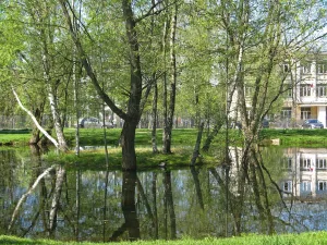Фигурный пруд (Ломоносов)