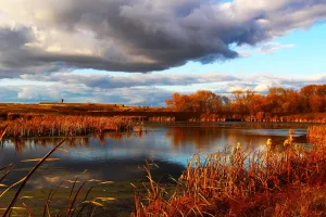 Бакурка
