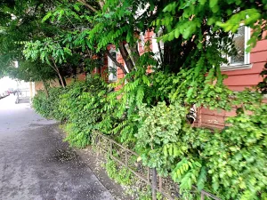 Палисадник
