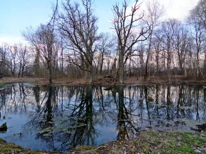 Парк (Велькота)