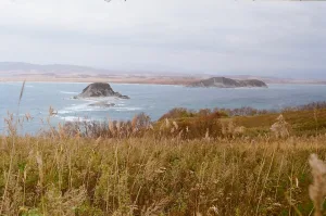 Большой Гаккель (остров)