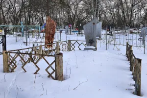 Могила красногвардейца Т.П. Березенко, убитого белогвардейцами в 1919 году (Новологиново)