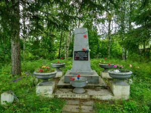 Братская могила жертв интервенции (Емца)