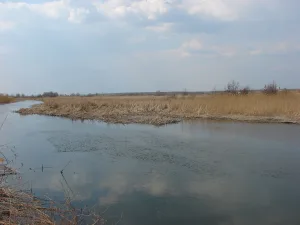 Потудань