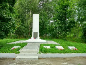 Братская могила воинов и крестьян, расстрелянных белогвардейцами (Олонец)