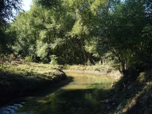Чертановка
