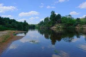Луга